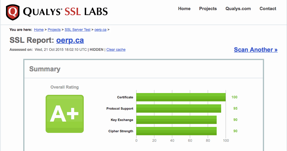 Odoo CMS - a big picture