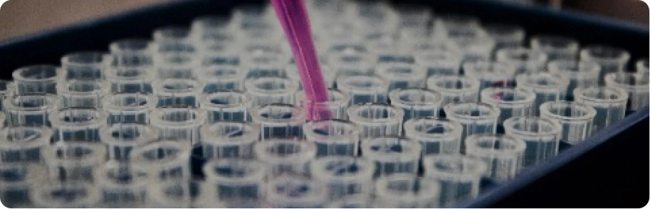 OERP Customers - scientific sector